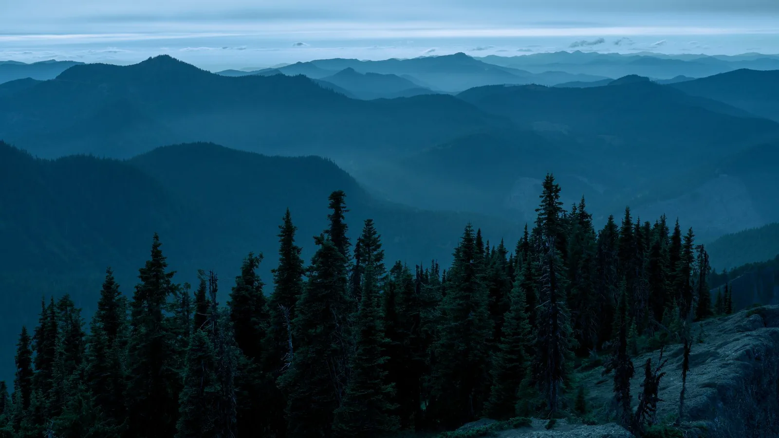 Misty mountains and evergreen forest at dawn