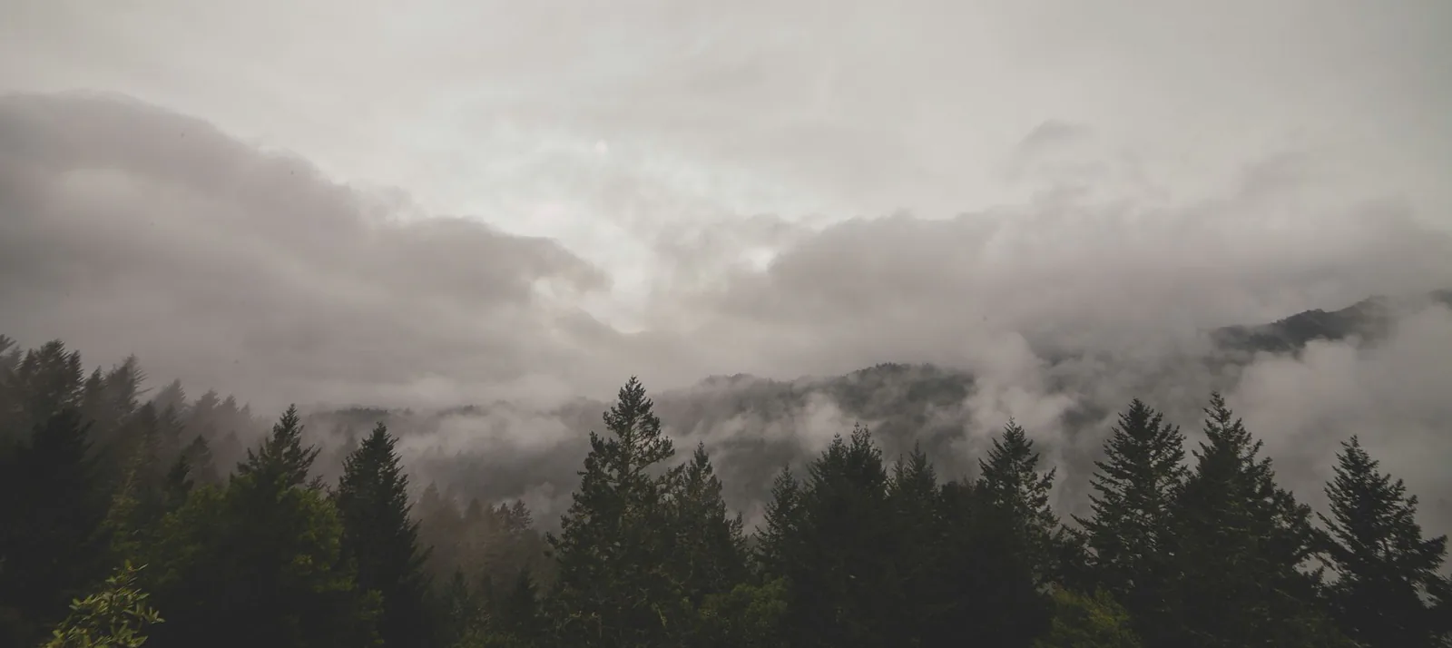 Fog settling over a forested mountain ridge